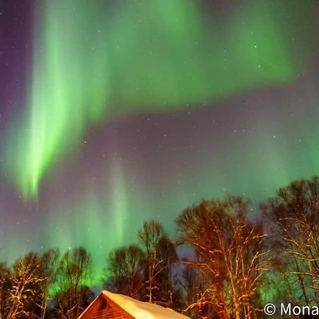 Susitna River Lodging, Suites Talkeetna Kültér fotó