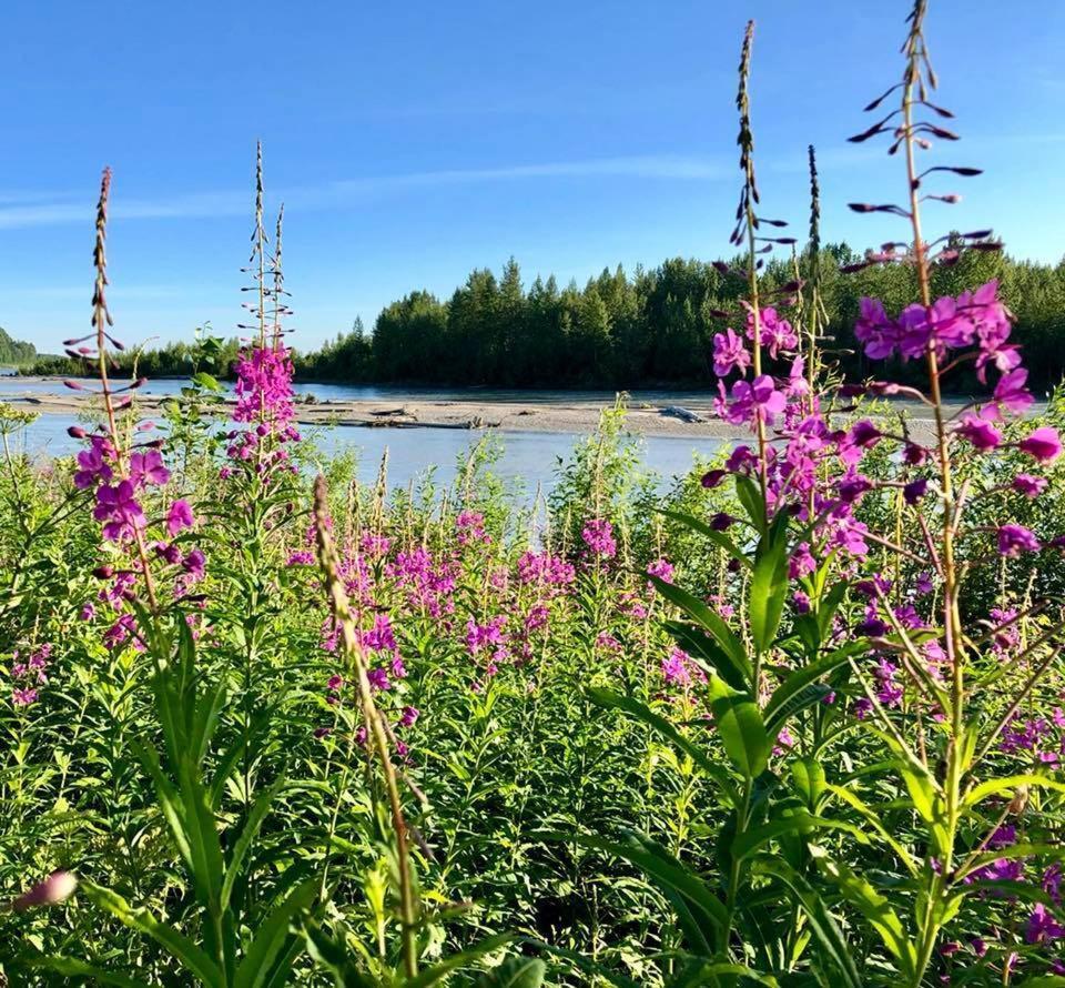 Susitna River Lodging, Suites Talkeetna Kültér fotó